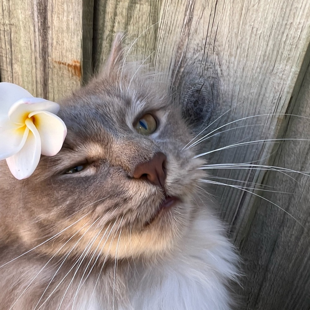 Meet your Posher, Larissa